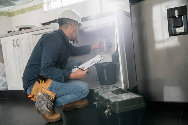 Best Local Plumber Services  in Loughman, FL