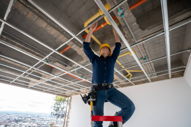 Best Emergency Plumber  in Loughman, FL