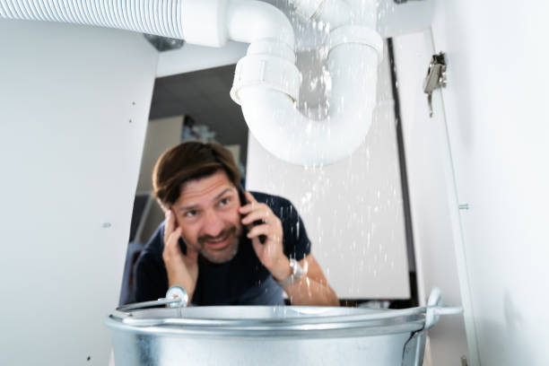 Best Faucet Repair  in Loughman, FL
